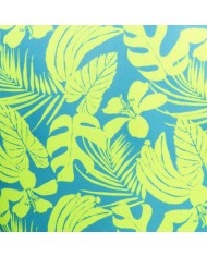 Addicted Calatheas Trikó AD1365