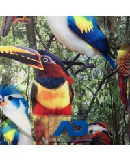 Addicted Egzotikus Madarak Fürdőshort  ADS355