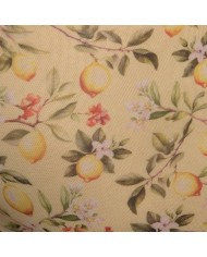 Addicted Citromos Kert Boxer AD1372