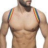 Addicted Rainbow Spider Harness AD1181 | ADDICTED Budapest – pick up in store