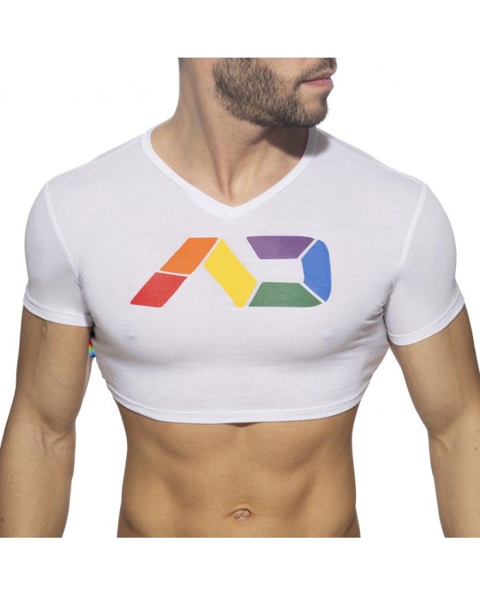 Addicted Rainbow Croptop AD1172
